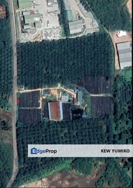 Super Cheap Agricultural Land @ Alor Gajah Melaka, Melaka, Alor Gajah
