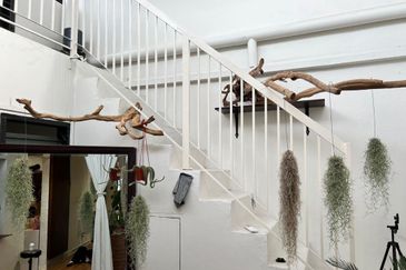 Taman Taynton (Taynton View)