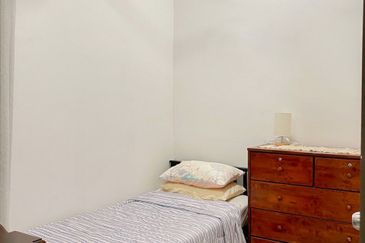 Edulis (Erythrina Series), Setia Alam