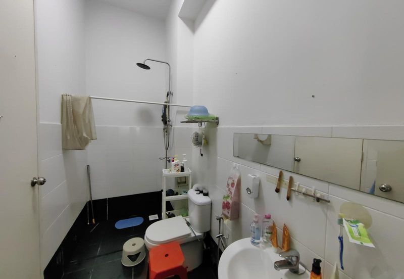 The Rainforest @ Eco Tropics