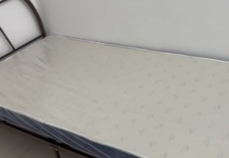 Dedaun Hijau (Greenfield Regency)