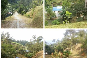 TANAH HULU LANGAT SG CONGKAK UNTUK DIJUAL! 