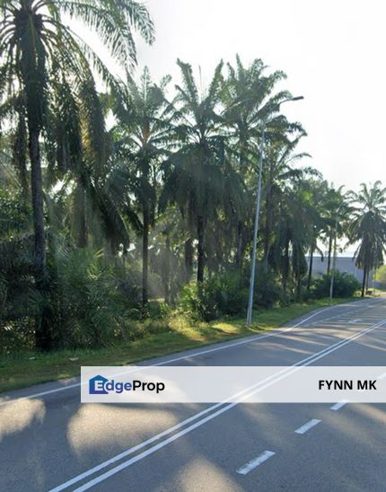 TANAH 9 EKAR URGENT UNTUK DIJUAL ! , Johor, Pekan Nanas (Pekan Nenas)