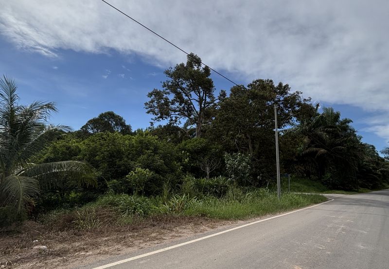 TANAH PERTANIAN BUKIT BATU UNTUK DIJUAL SEGERA! 