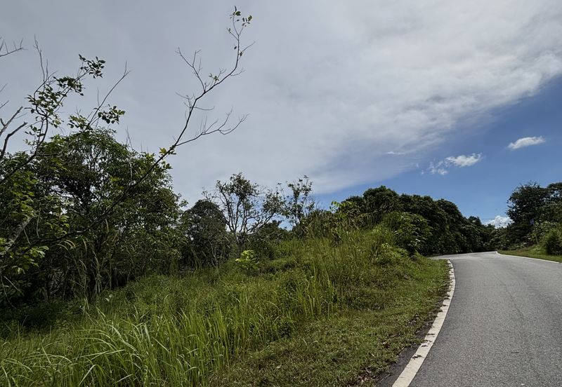 TANAH PERTANIAN BUKIT BATU UNTUK DIJUAL SEGERA! 