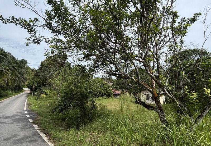 TANAH PERTANIAN BUKIT BATU UNTUK DIJUAL SEGERA! 
