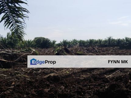 TANAH AGRICULTURE SEDENAK UNTUK DIJUAL ! , Johor, Kulai