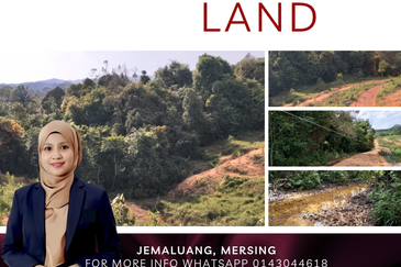 TANAH PERTANIAN MERSING UNTUK JUAL / PAJAK