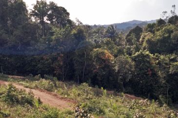 TANAH PERTANIAN MERSING UNTUK JUAL / PAJAK