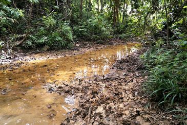 TANAH PERTANIAN MERSING UNTUK JUAL / PAJAK