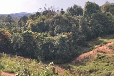 TANAH PERTANIAN MERSING UNTUK JUAL / PAJAK