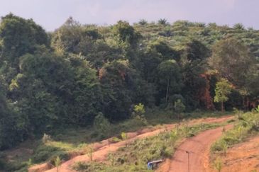TANAH PERTANIAN MERSING UNTUK JUAL / PAJAK