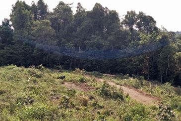 TANAH PERTANIAN MERSING UNTUK JUAL / PAJAK