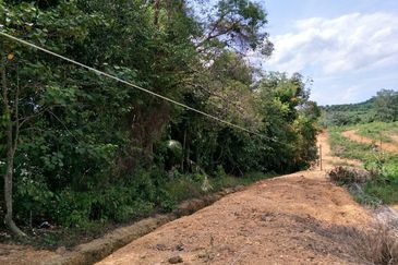 TANAH PERTANIAN MERSING UNTUK JUAL / PAJAK