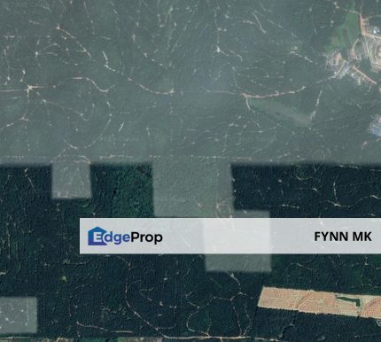 RESIDENTIAL LAND PAHANG FOR SALE, Pahang, Temerloh
