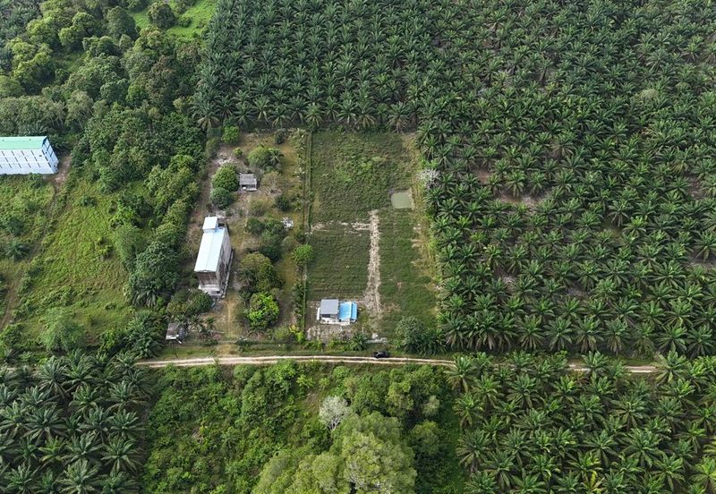 Sedili Besar
