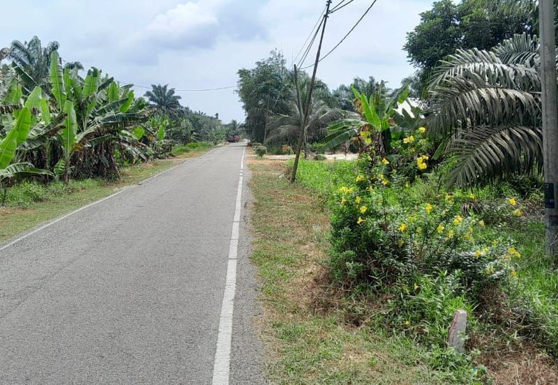TANAH KELAPA SAWIT BATU PAHAT UNTUK DIJUAL
