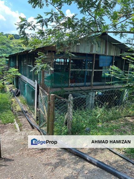 ‼️LADANG TERNAK AYAM ITIK UNTUK DISEWA‼️  , Selangor, Batang Kali