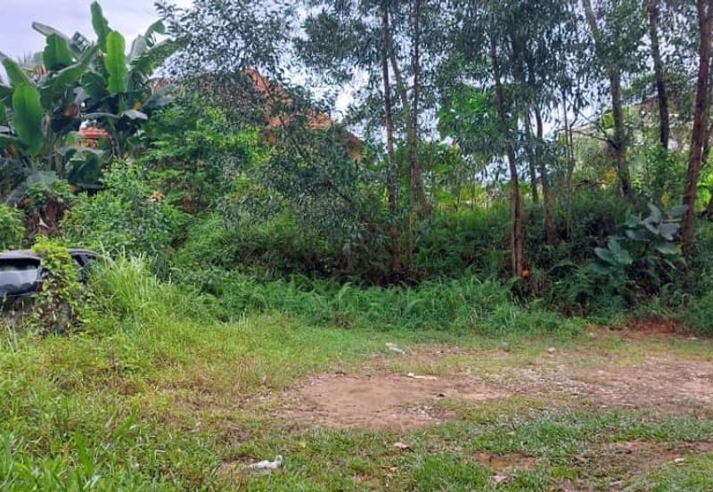 Seksyen 6, Kota Damansara