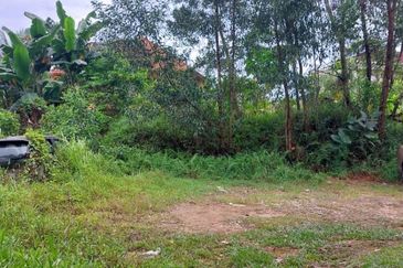 Seksyen 6, Kota Damansara