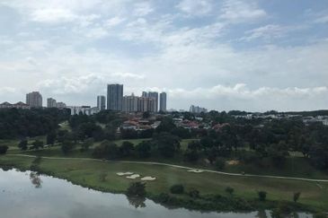 Dianthus @ Tropicana Gardens