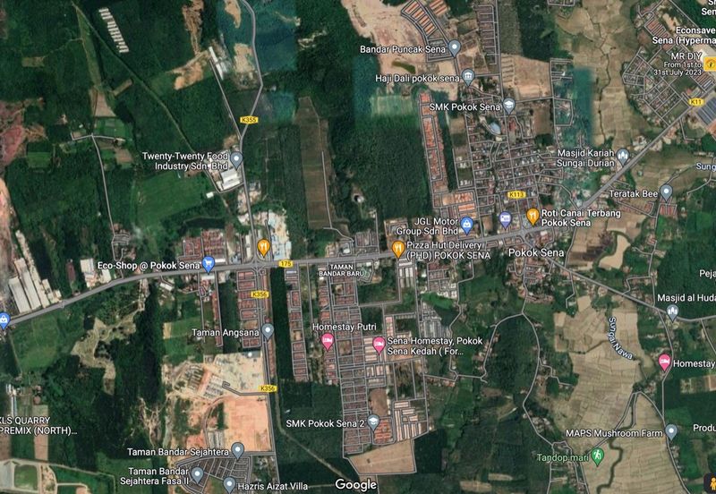 Big Agricultural Land Pokok Sena Kedah For Sale