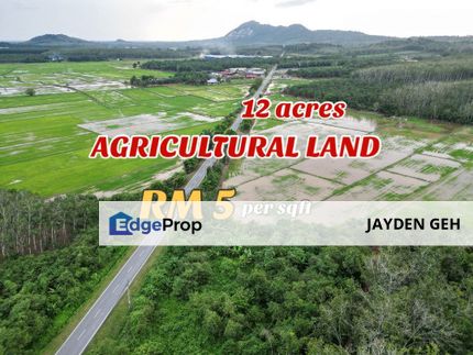 12 Acre Agricultural Land Jitra Kedah For Sale Tanah Untuk Dijual, Kedah, Kubang Pasu