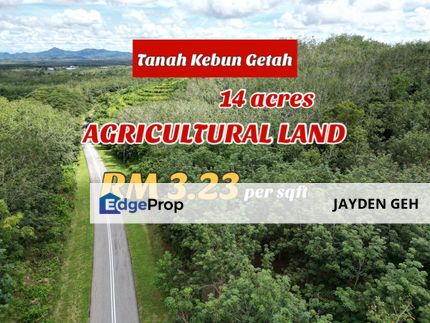 Facing Road 14 Acre Tanah Getah Agricultural Land Jitra Kedah For Sale, Kedah, Jitra