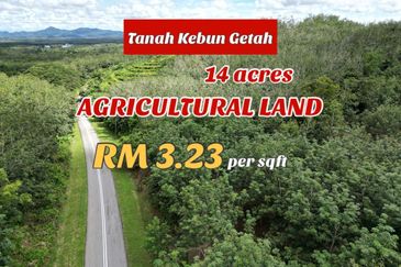 Facing Road 14 Acre Tanah Getah Agricultural Land Jitra Kedah For Sale