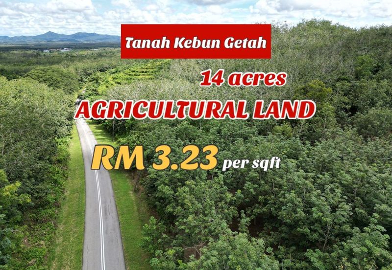 Facing Road 14 Acre Tanah Getah Agricultural Land Jitra Kedah For Sale