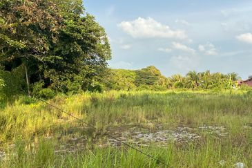 Zoning Commercial Facing Road Agriculture Land Near Simpang Kuala For Sale