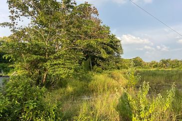 Zoning Commercial Facing Road Agriculture Land Near Simpang Kuala For Sale