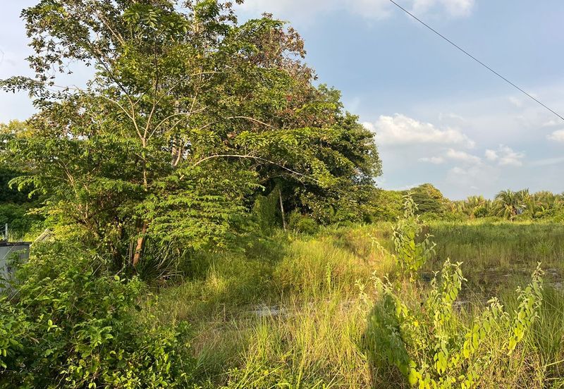 Zoning Commercial Facing Road Agriculture Land Near Simpang Kuala For Sale