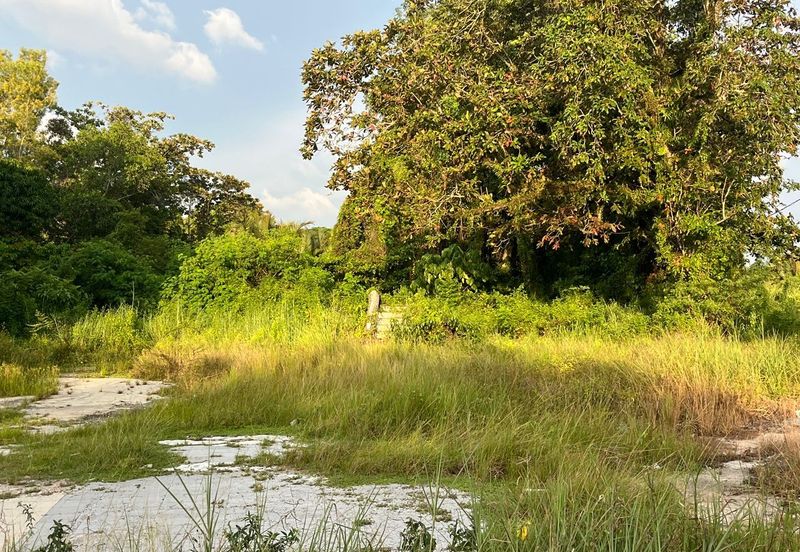 Zoning Commercial Facing Road Agriculture Land Near Simpang Kuala For Sale