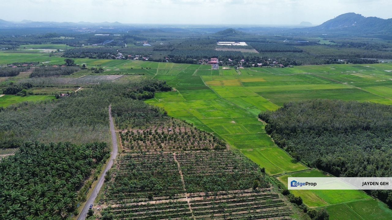 6.45 Acres Zoning Residential Agriculture Land Napoh Jitra Kedah For Sale, Kedah, Jitra