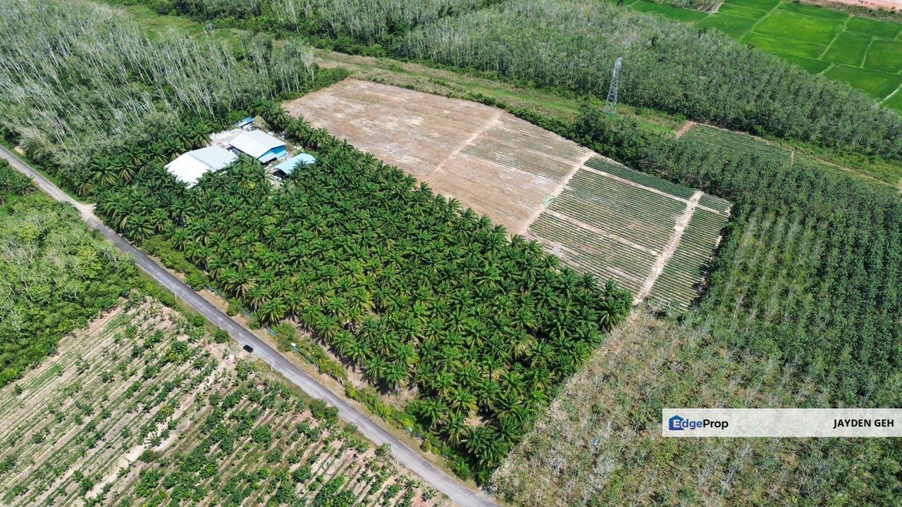 6.45 Acres Zoning Residential Agriculture Land Napoh Jitra Kedah For Sale, Kedah, Jitra