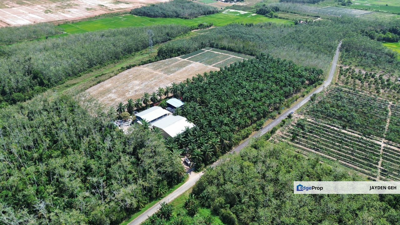 6.45 Acres Zoning Residential Agriculture Land Napoh Jitra Kedah For Sale, Kedah, Jitra