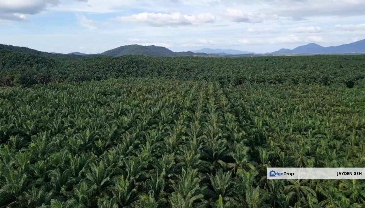 Facing Main Road Industrial Land Bukit Selambau Sungai Petani SP Kedah For Sale, Kedah, Sungai Petani