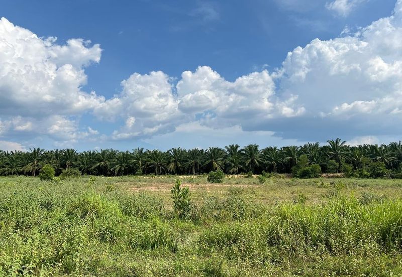 Jalan Changlun, Jitra