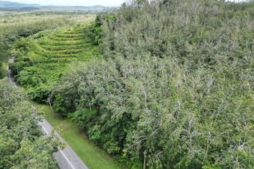 Facing Road 14 Acre Tanah Getah Agricultural Land Jitra Kedah For Sale