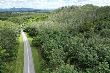 Facing Road 14 Acre Tanah Getah Agricultural Land Jitra Kedah For Sale