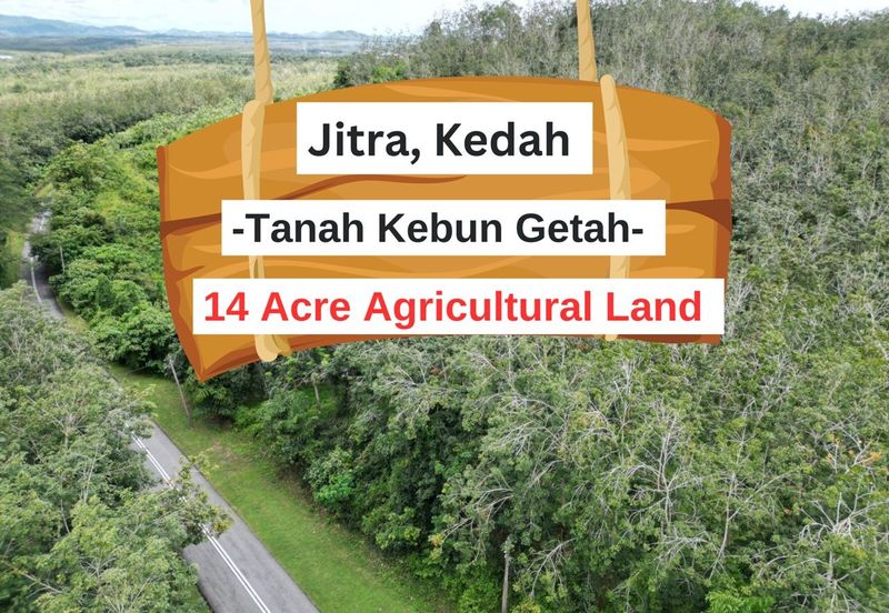 Facing Road 14 Acre Tanah Getah Agricultural Land Jitra Kedah For Sale