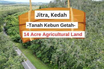 Facing Road 14 Acre Tanah Getah Agricultural Land Jitra Kedah For Sale