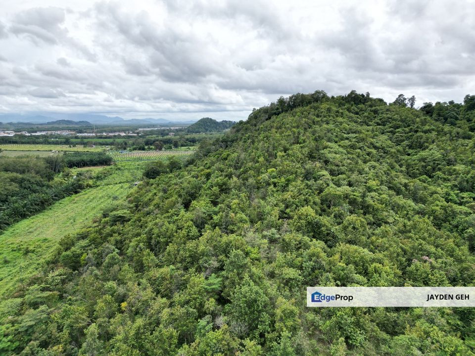 7.38 Acre Agricultural Land Jabi Pokok Sena Kedah For Sale , Kedah, Pokok Sena