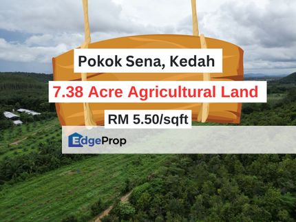 7.38 Acre Agricultural Land Jabi Pokok Sena Kedah For Sale , Kedah, Pokok Sena