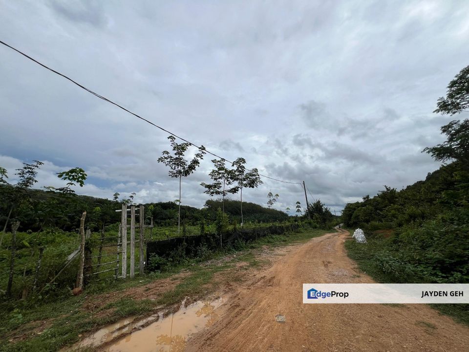 21.27 Acre Agricultural Land Jabi Pokok Sena Kedah For Sale , Kedah, Pokok Sena