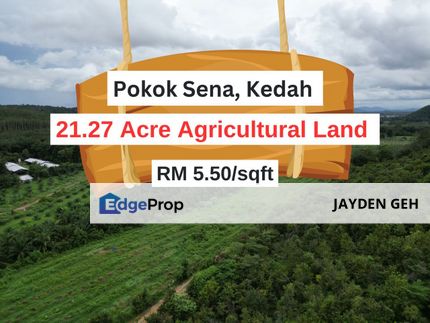 21.27 Acre Agricultural Land Jabi Pokok Sena Kedah For Sale , Kedah, Pokok Sena