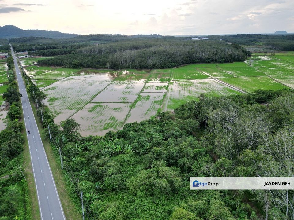 2.39 Acre Agricultural Land Jitra Kedah For Sale Tanah Untuk Dijual, Kedah, Kubang Pasu