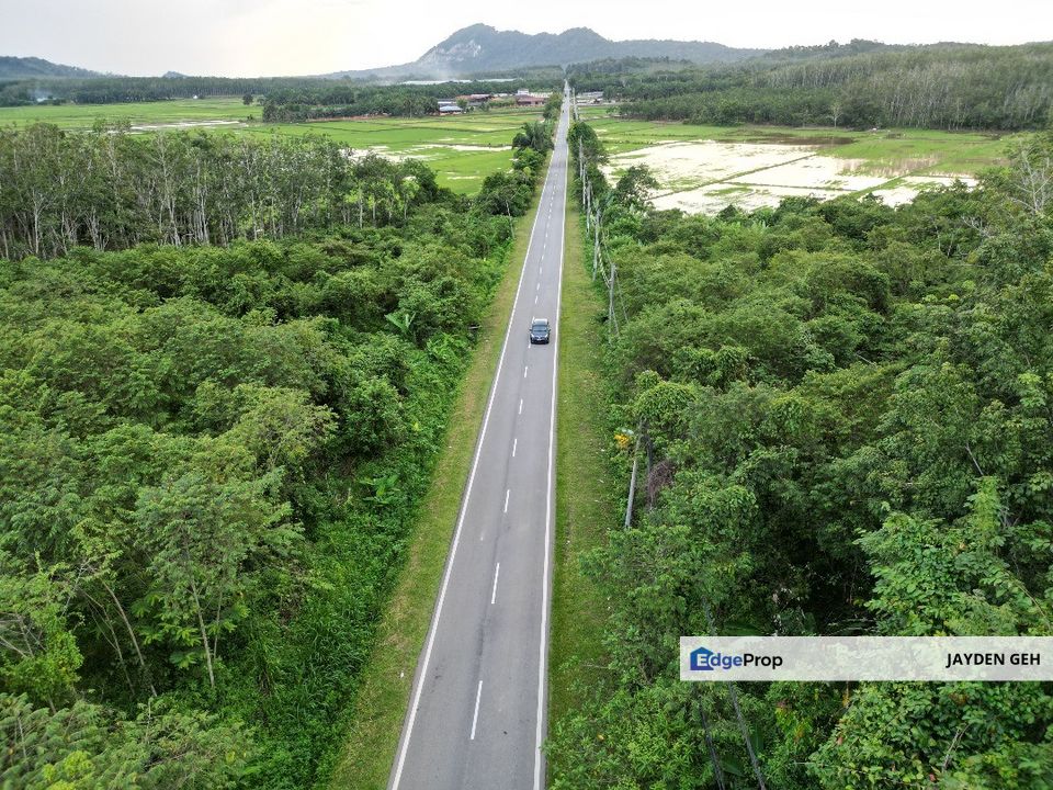 12 Acre Agricultural Land Jitra Kedah For Sale Tanah Untuk Dijual, Kedah, Kubang Pasu