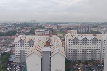 Palm Garden Apartment